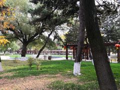 -东北大学(南湖校区)