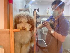 -佐罗家宠物馆·猫文化馆(紫霞路店)