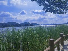 -东湖落雁景区