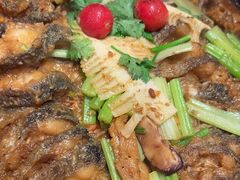 -老板恋上鱼(恒隆广场店)