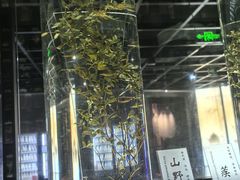 -广东中医药博物馆