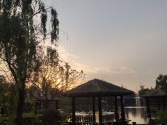 -成飞公园