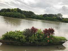 -大湾区中央湿地公园