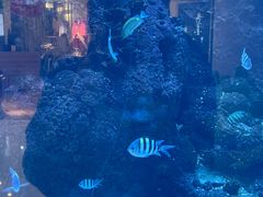 -鸿通城购物中心