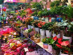 -花鸟鱼虫鲜花绿植市场(玉泉路店)