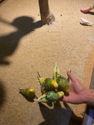 -酷嗒动物文化乐园(cutezoo西溪乐天城店)