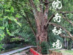 -石台牯牛降景区