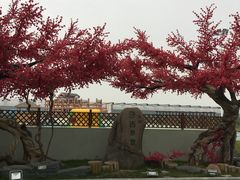 -天源吉布世温泉水乐园