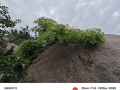 -崂山仰口游览区