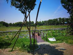 -武汉紫薇都市田园