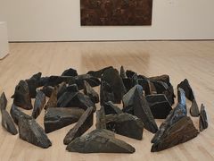 -旧金山现代艺术博物馆