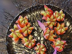 -双海潮·海鲜融合菜(如是海店)