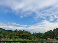 -云溪植物园