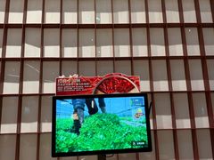 -巴奴毛肚火锅(大剧院店)