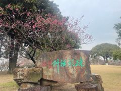 -无锡梅园公园