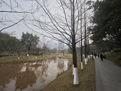 -沐仙湖湿地公园