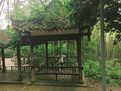-缙云山景区
