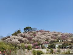 -台州府城(江南长城)