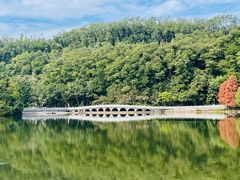 -深圳市中科院仙湖植物园