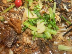 -老板恋上鱼(恒隆广场店)