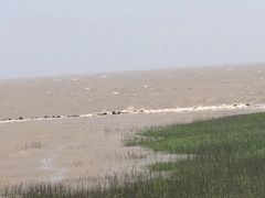 -南汇嘴观海公园
