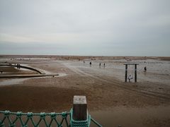 -刘家湾赶海园