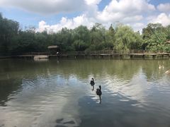 -溱湖国家湿地公园