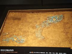 -盘龙城国家考古遗址公园