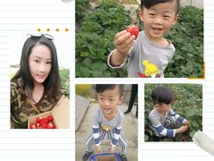 -小鱼草莓采摘园农家乐·小鱼餐厅