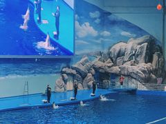 -福州罗源湾海洋世界旅游区
