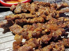 -诸锣记烤串·锦州烧烤(淘金店)