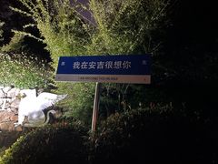 -浙江安吉JW万豪酒店