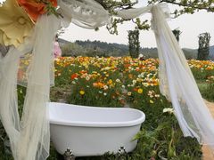 -名花谷生态庄园