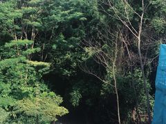 -圣淘沙天际线斜坡滑车