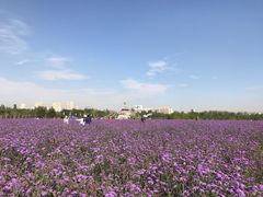 -赛汗塔拉风情园