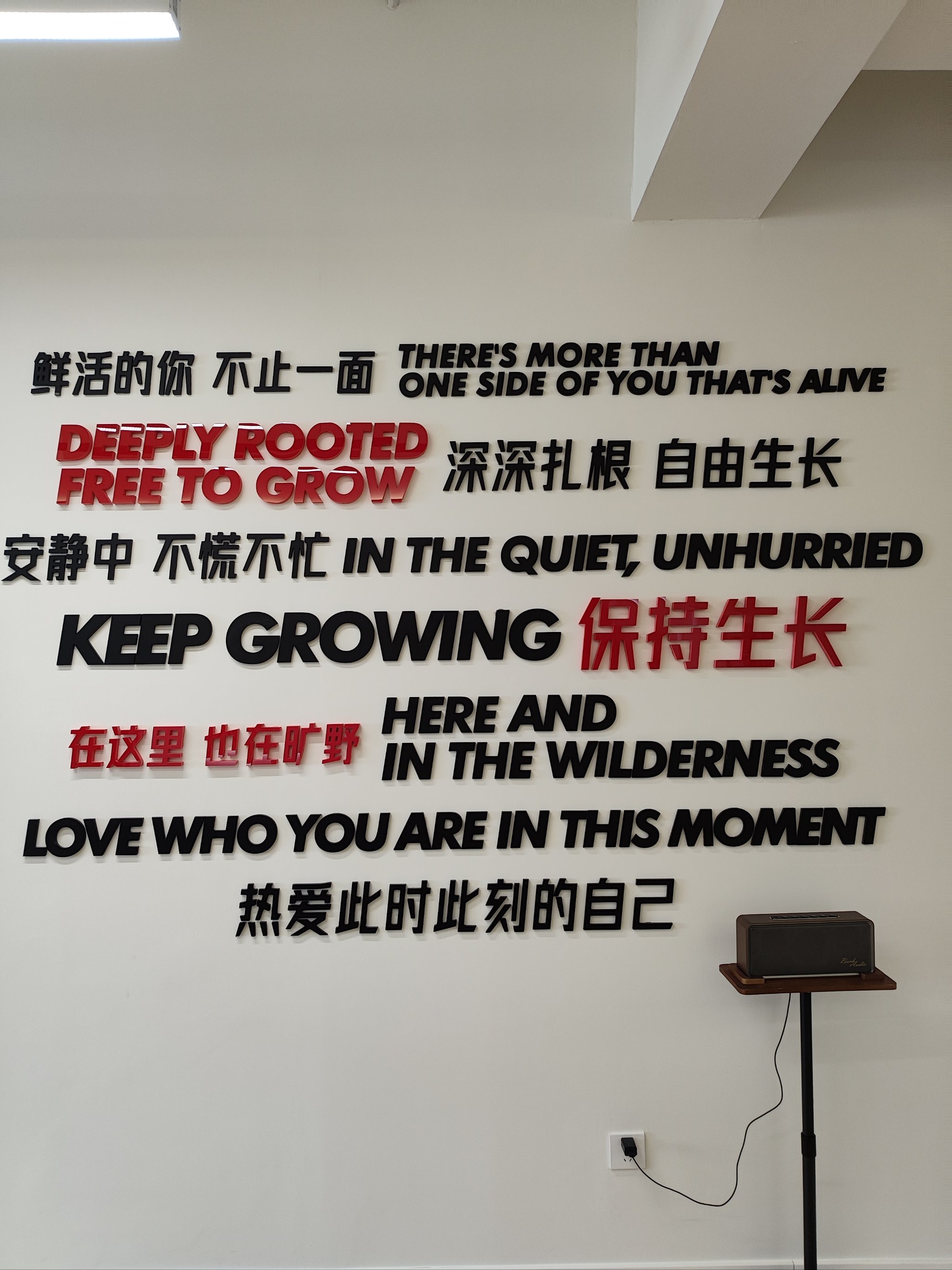 热爱此时此刻的自己