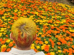 -铁山坪森林公园