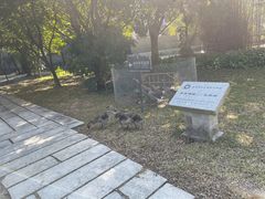 -开平碉楼文化旅游区马降龙景区