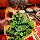 新年伊始，来顿火锅红红火火，我们还是选择巴奴呐[调皮]