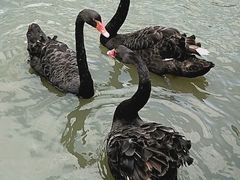 -八景休閒山莊  廣東十大名山莊