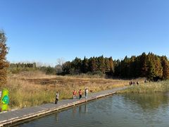 -溱湖国家湿地公园