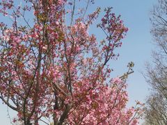 -武汉园博园(武汉自然博物馆)