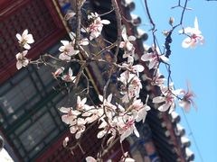 -永旺梦乐城国际商城(北清路店)