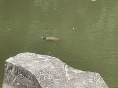 -水濂山森林公园