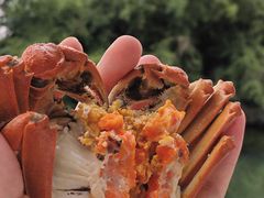 -欢乐蟹庄·精品农家乐(阳澄湖莲花岛店)