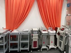 点击看大图 -WENDY·温迪皮肤管理