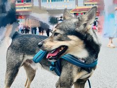 -瑞丽口岸免税店