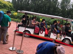 -西青郊野公园