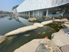 -罗红摄影艺术馆