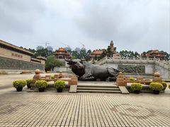 -广东圆玄道观
